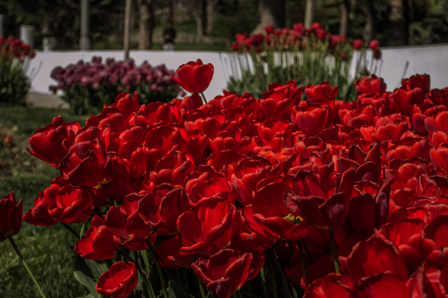 I Spent One Week In Istanbul And Took Some Photos