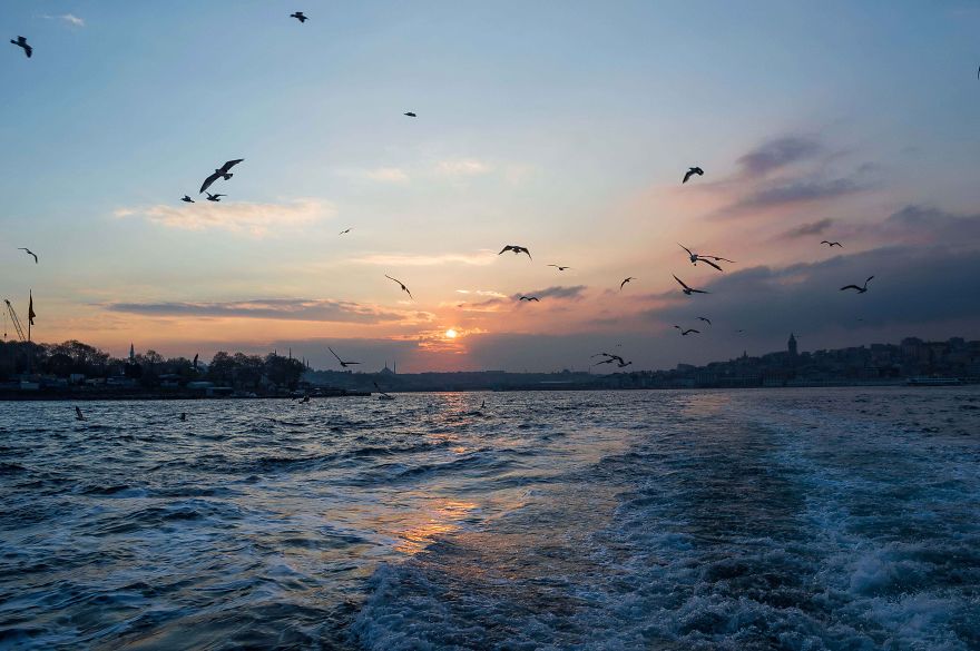 I Spent One Week In Istanbul And Took Some Photos