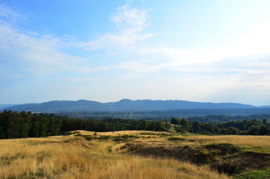 Golden Fields In Horezu, Vâlcea