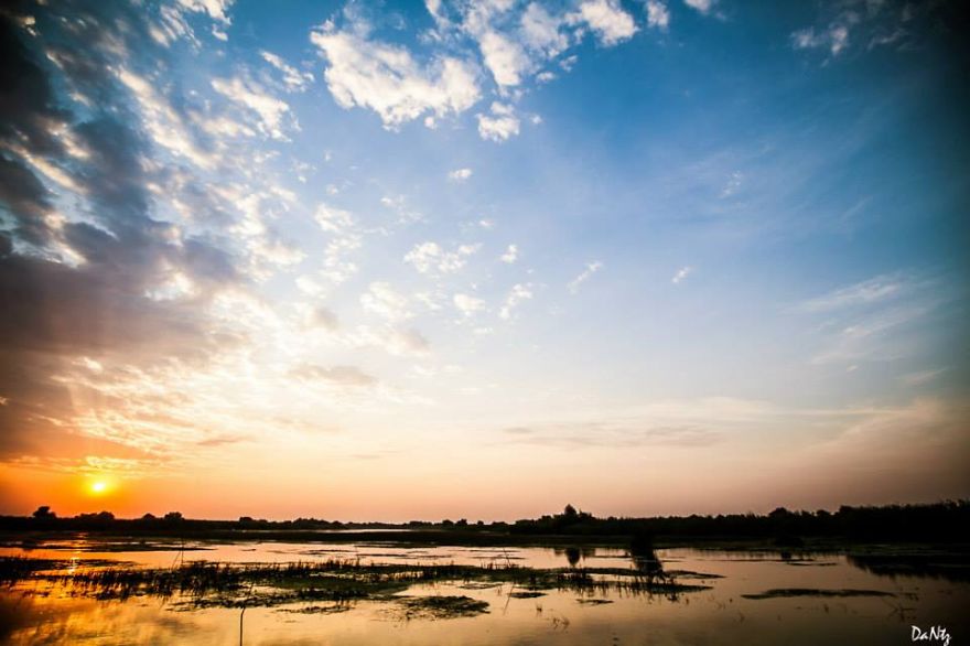 Danube Delta By Dana Nitzoy