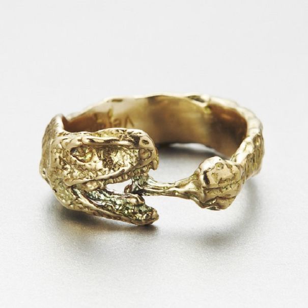 Dino Eating Fried Chicken