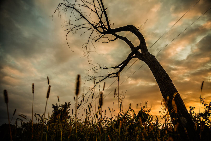 Vermont Blues Vermont Blues