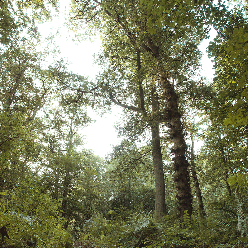 Vanishing Acts: A Series Of Gifs Depicting My Sense Of Insecurity