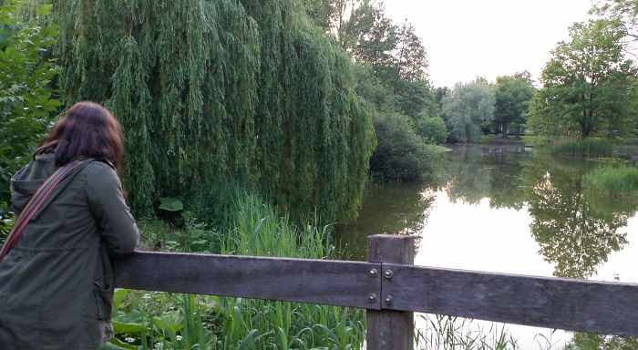 A Cold Spring Enjoyed From A Bridge In Heesch, Holland