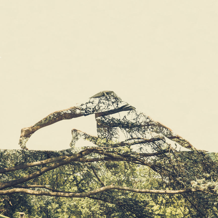 With The Help Of Yoga Instructors, I Create Surreal Photos That Blend Human Body With Plant Forms