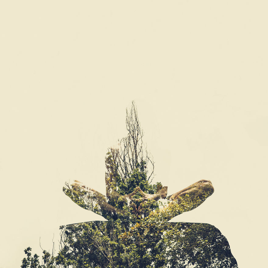 With The Help Of Yoga Instructors, I Create Surreal Photos That Blend Human Body With Plant Forms With The Help Of Yoga Instructors, I Create Surreal Photos That Blend Human Body With Plant Forms
