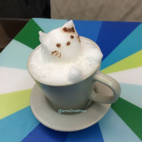 My Homemade 3D Latte Art