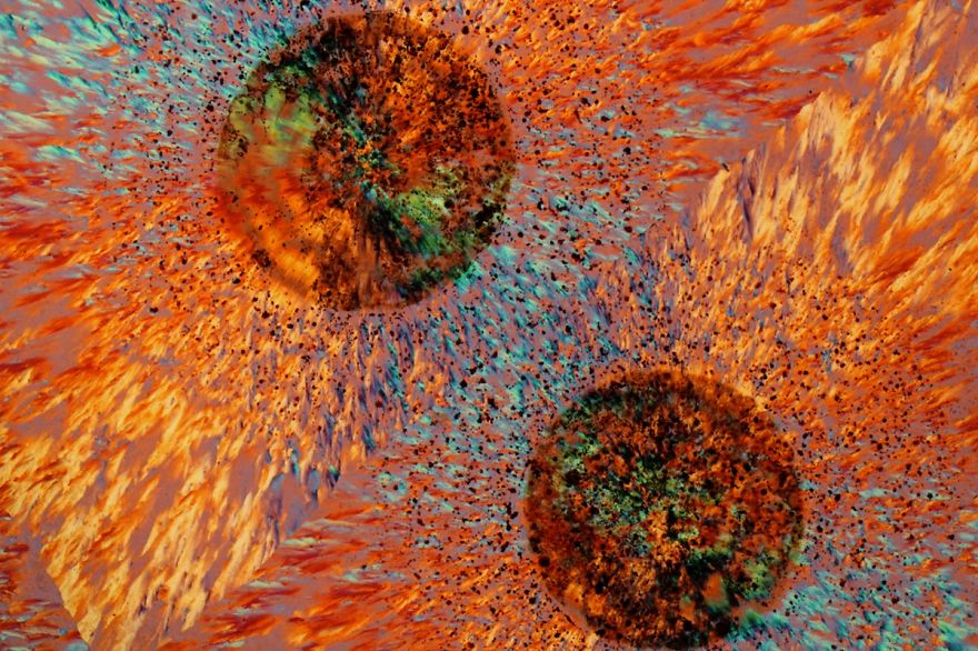 Inside A Rock! Stunning Images Of Ocean Jasper Macro To Micro