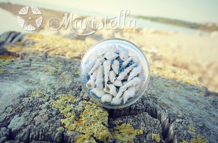 Real Miniature Seashells Ring