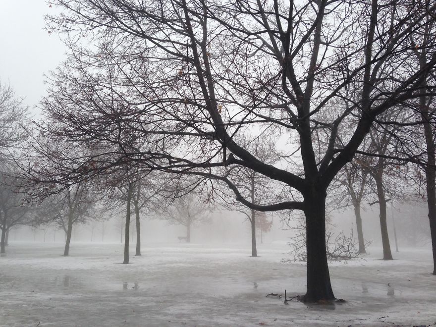 (the Real) Winter In Toronto