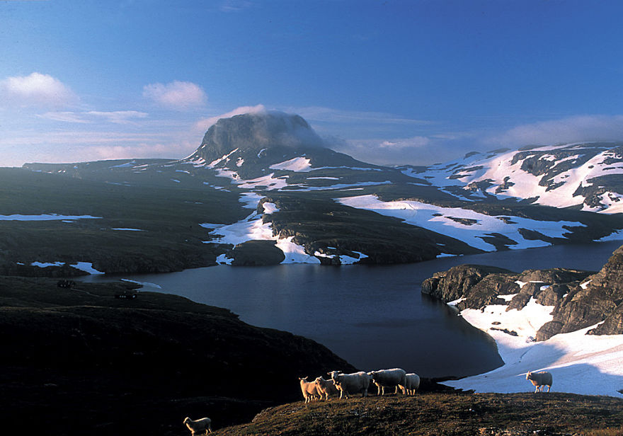 Hardangervidda