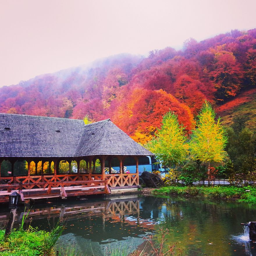 Pastravaria Alex, Maramures