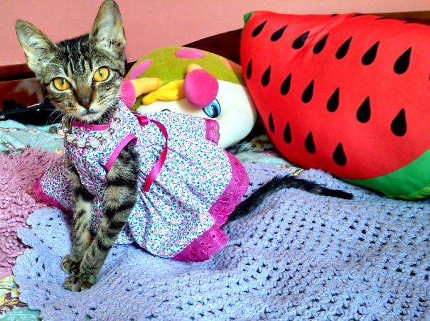 Khaleese.. The Richiest Lady