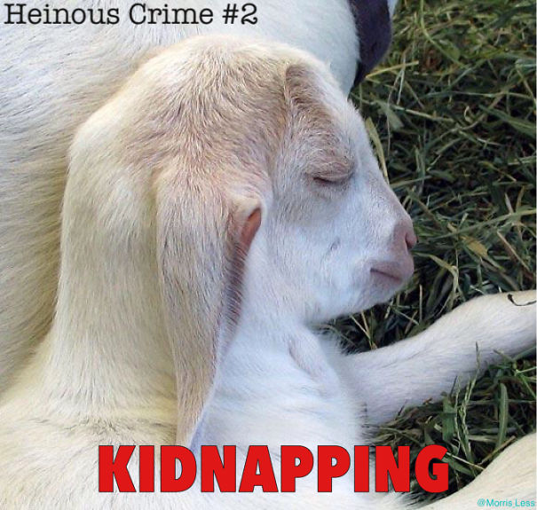 Heinous Crimes, A Punishment Heinous Crimes, A Punishment