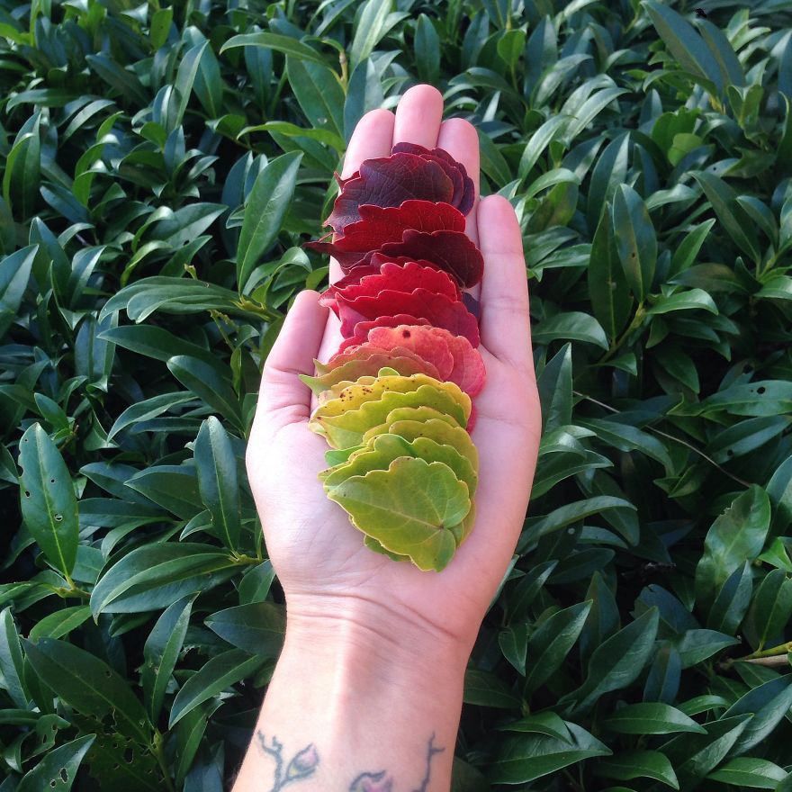 Falling For Fall. (@ventagraminsta)