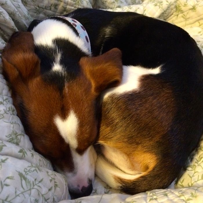 Kirby Wears His Heart On His Forehead