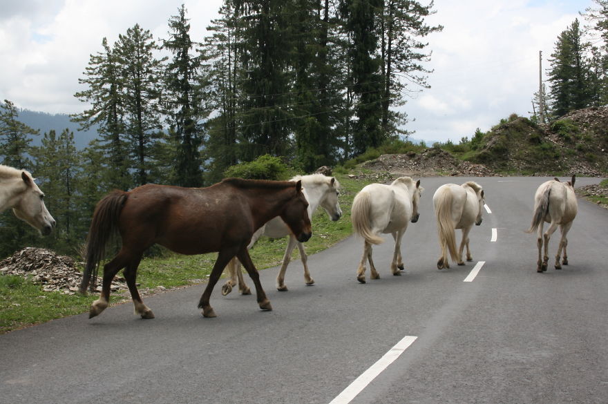 The Road For Everyone...