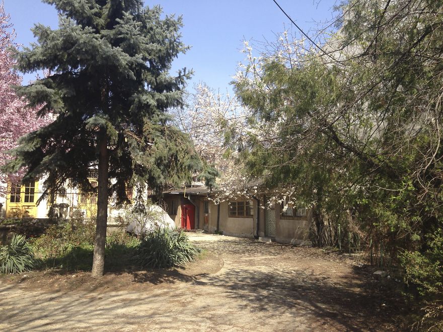 Backyard In Bukarest
