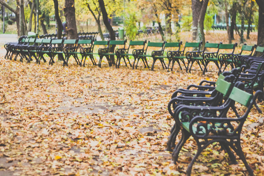 Cismigiu Park (bucharest)