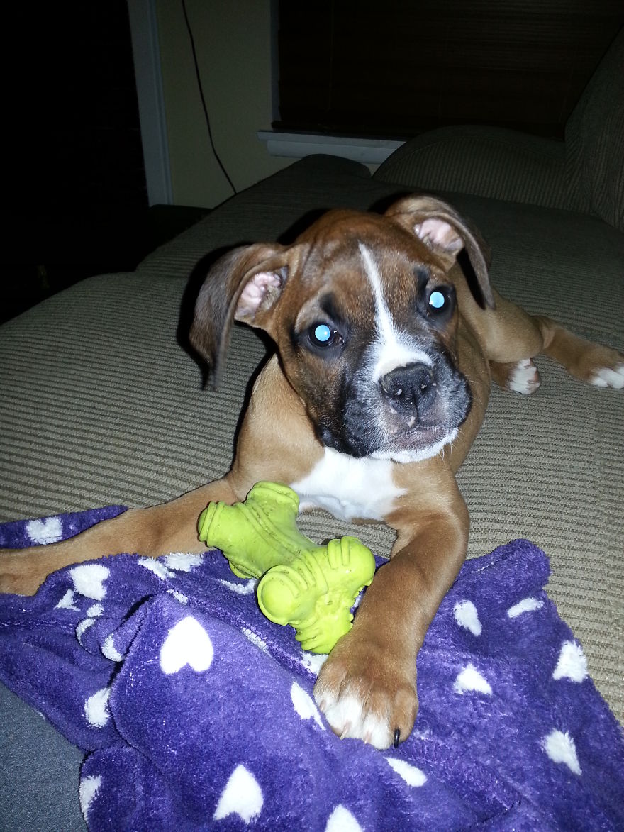 My Baby Beans! Luna At 15 Weeks =)