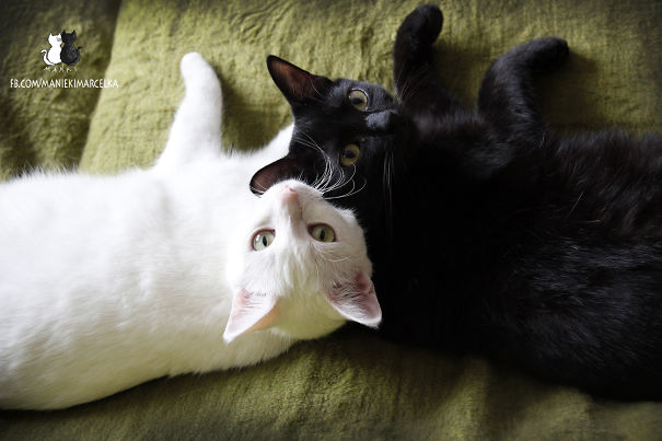 Mańki - Black Maniek And White Marcelka