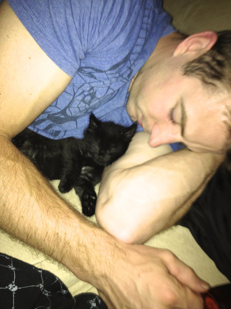 Meet Cole And Marmalade: Two Rescued Kitties That Became The Best Of Friends Meet Cole And Marmalade: Two Rescued Kitties That Became The Best Of Friends