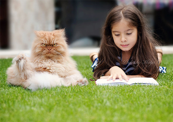 Garfi, The World’s Angriest Cat