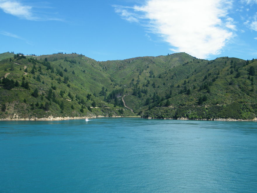 New Zealand Through The Eyes Of A New Zealander