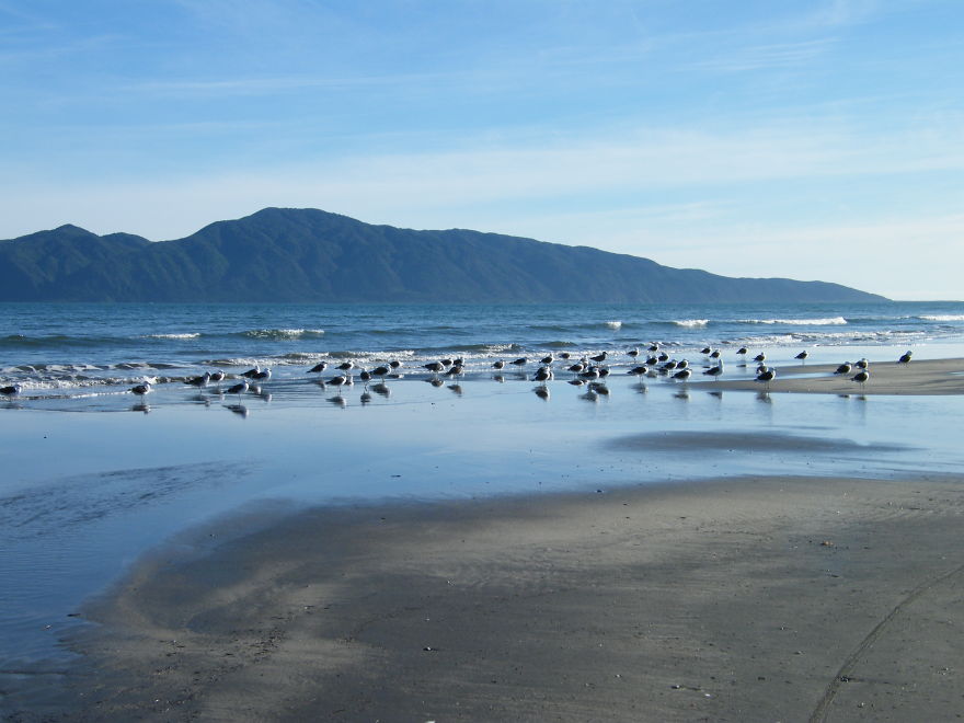 New Zealand Through The Eyes Of A New Zealander