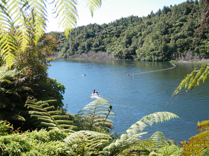 New Zealand Through The Eyes Of A New Zealander New Zealand Through The Eyes Of A New Zealander