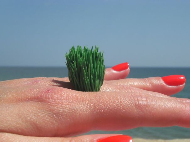 Grass By One Of The 4