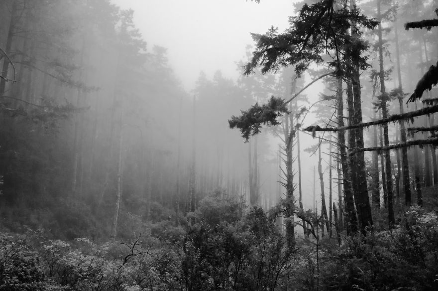 Pt. Reyes, California