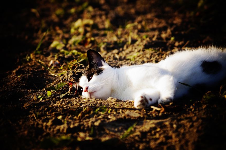 Magical Polish Countryside Through My Camera's Lens Magical Polish Countryside Through My Camera's Lens