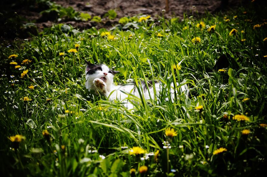Magical Polish Countryside Through My Camera's Lens