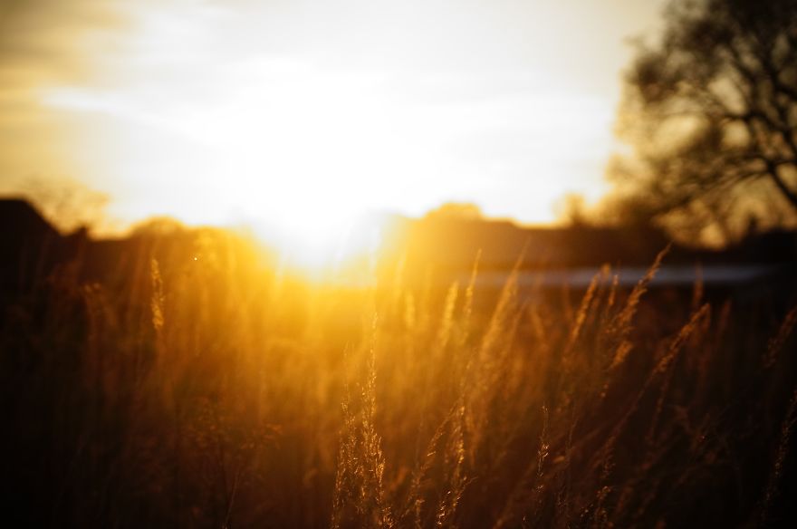 Magical Polish Countryside Through My Camera's Lens