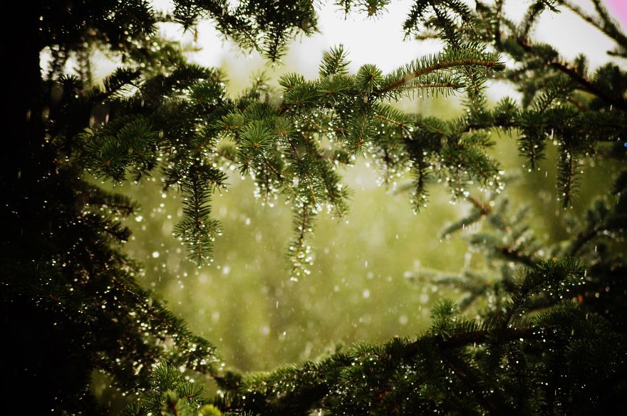 Magical Polish Countryside Through My Camera's Lens Magical Polish Countryside Through My Camera's Lens