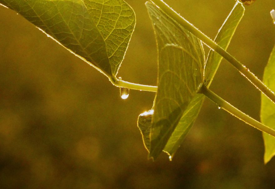 Magical Polish Countryside Through My Camera's Lens Magical Polish Countryside Through My Camera's Lens
