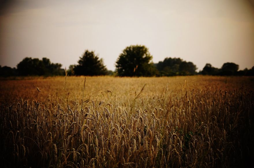 Magical Polish Countryside Through My Camera's Lens Magical Polish Countryside Through My Camera's Lens