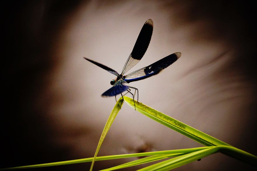 Magical Polish Countryside Through My Camera's Lens