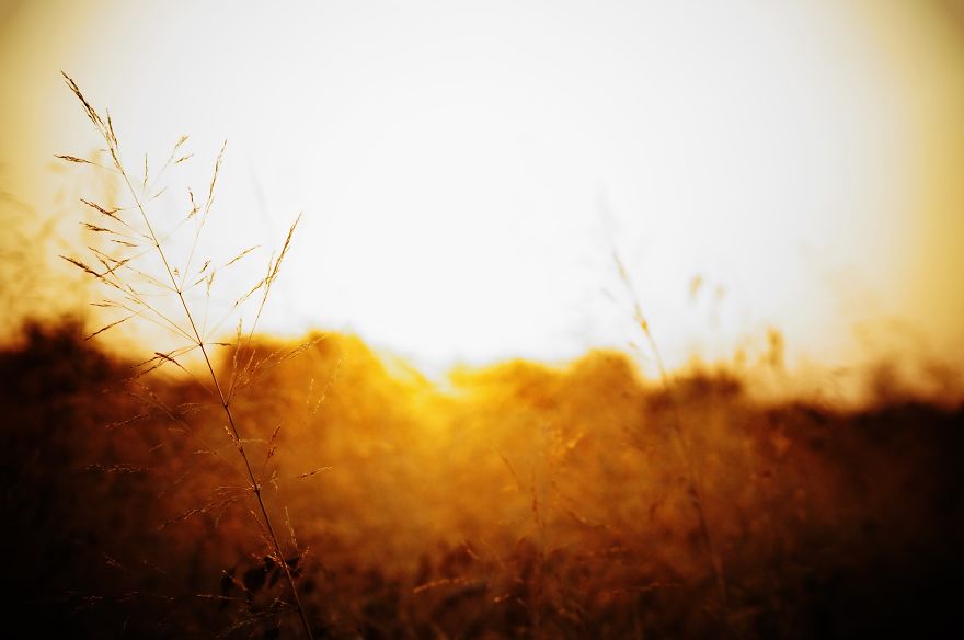 Magical Polish Countryside Through My Camera's Lens