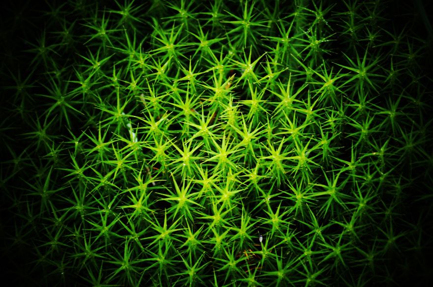 Magical Polish Countryside Through My Camera's Lens Magical Polish Countryside Through My Camera's Lens