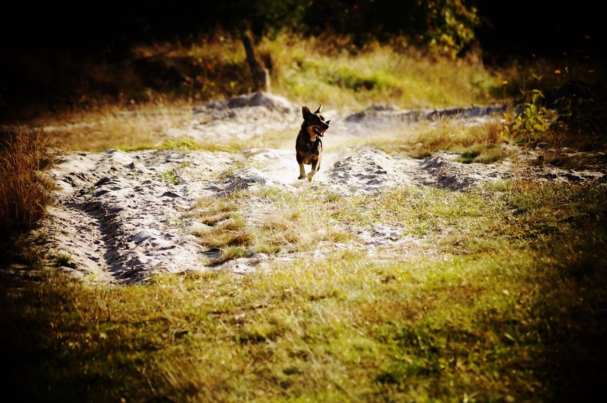 Magical Polish Countryside Through My Camera's Lens