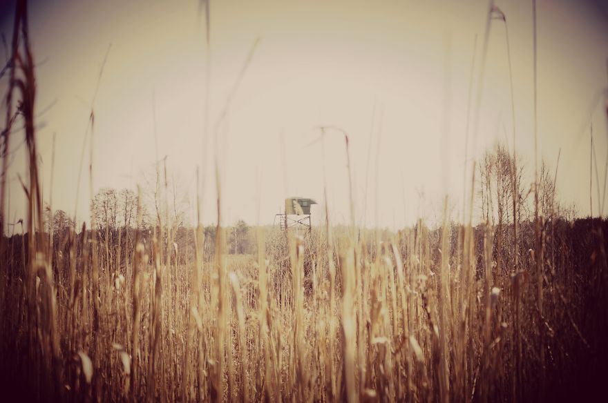 Magical Polish Countryside Through My Camera's Lens