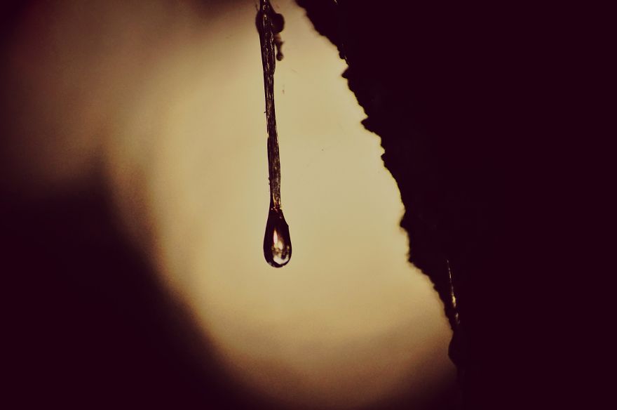 Magical Polish Countryside Through My Camera's Lens Magical Polish Countryside Through My Camera's Lens