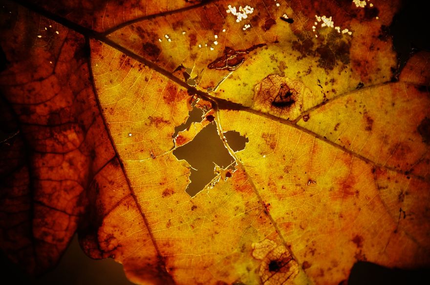 Magical Polish Countryside Through My Camera's Lens