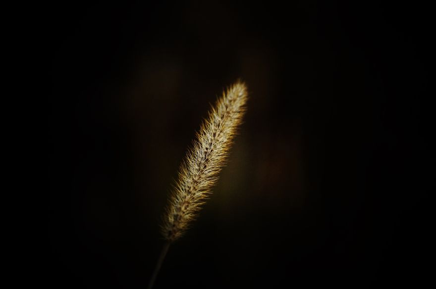 Magical Polish Countryside Through My Camera's Lens