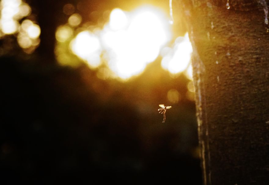 Magical Polish Countryside Through My Camera's Lens Magical Polish Countryside Through My Camera's Lens