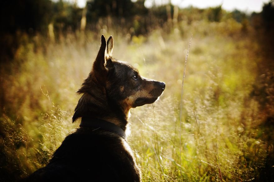Magical Polish Countryside Through My Camera's Lens