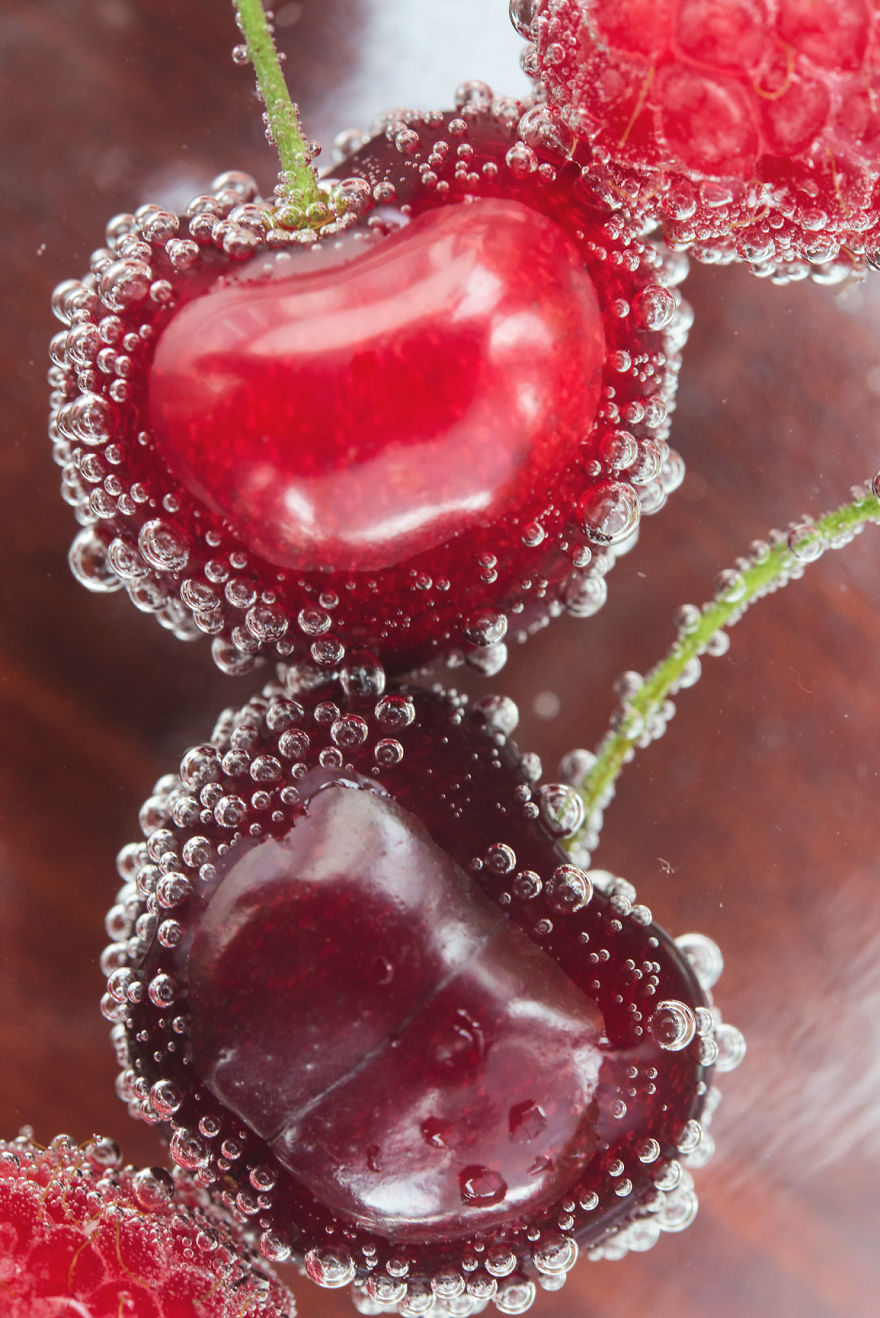 I returned To Photographing Nature After Maternity Leave And Had My Work Published in National Geographic I returned To Photographing Nature After Maternity Leave And Had My Work Published in National Geographic