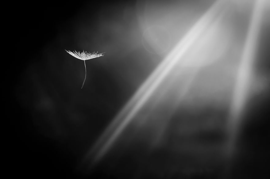 I returned To Photographing Nature After Maternity Leave And Had My Work Published in National Geographic I returned To Photographing Nature After Maternity Leave And Had My Work Published in National Geographic